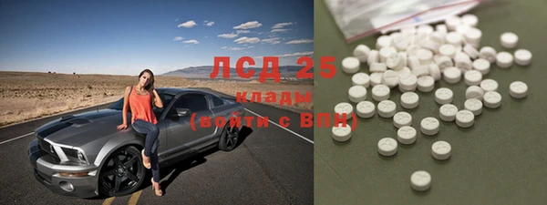 стафф Алзамай