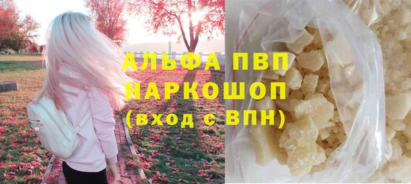 хмурый Алексин