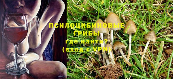 хмурый Алексин