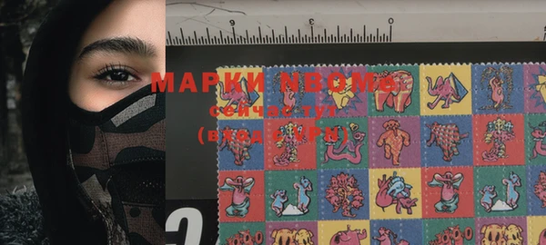 хмурый Алексин
