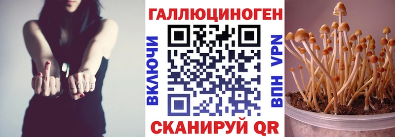 Псилоцибиновые грибы прущие грибы  как найти закладки  Кремёнки 